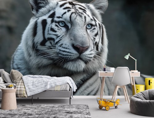 Fototapete kinderzimmer tiger - fototapete,