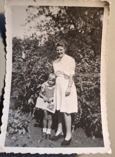 Altes foto vintage hübsche - foto,
