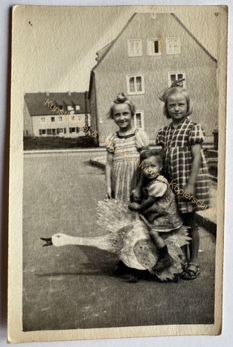 Orig foto kinder - orig.,