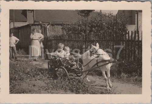 Foto kinder mit ziegenbock im - foto,,