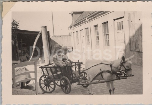 Foto kinder mit ziegenkutsche - kinder,