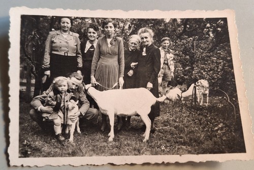 Vintage foto familie mit - vintage,