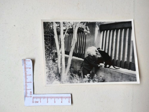 Alte fotografie foto - ⚪,