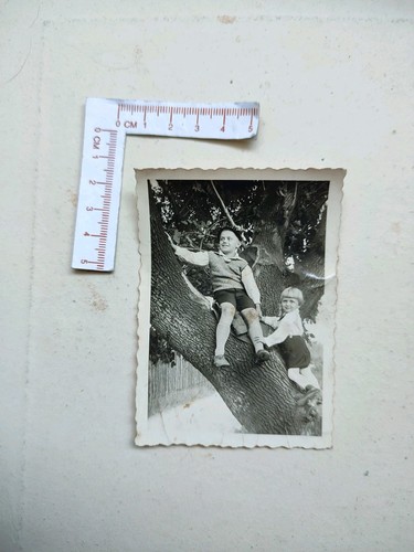 Alte fotografie foto - 🔴🔴,